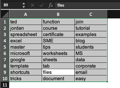 Example of Excel and Google shortcut: command + A.