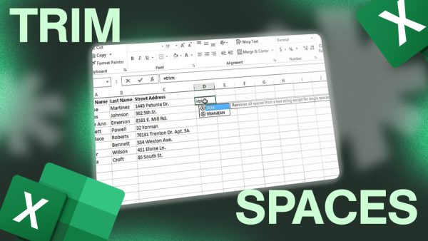 Trim spaces in Excel